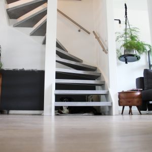 HPL laminaat traprenovatie in kleur concrete platinum
