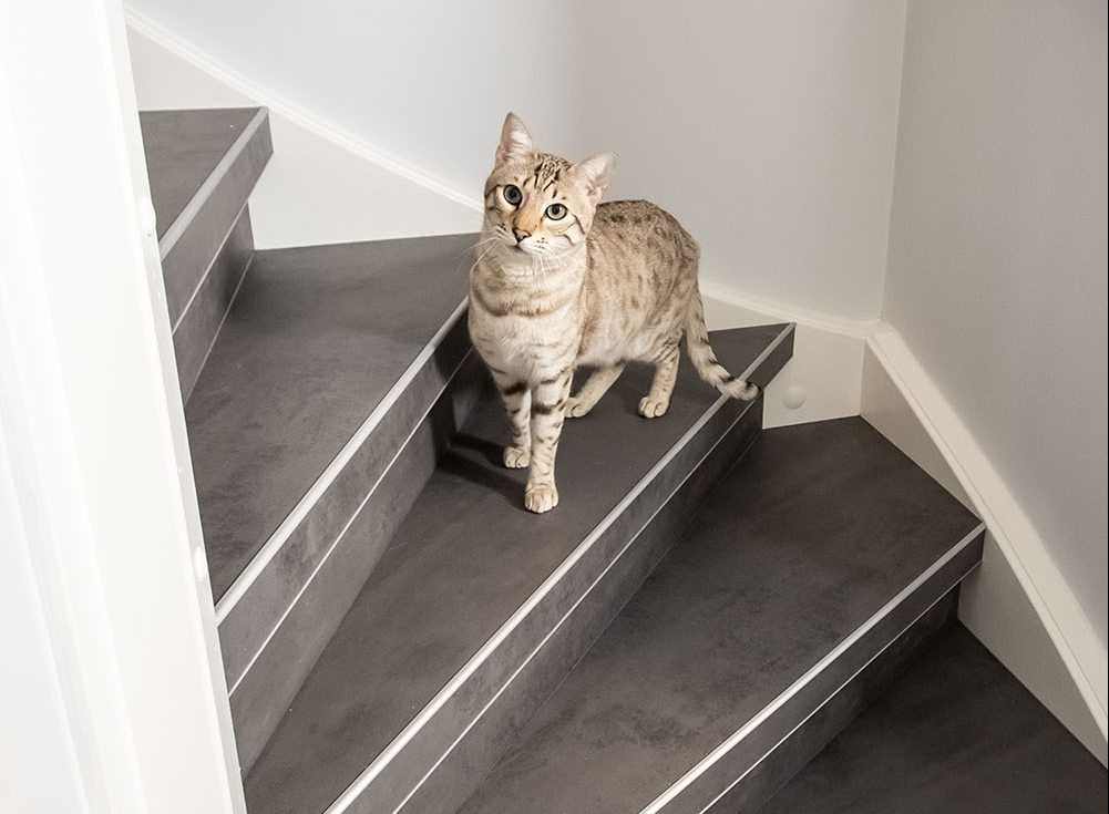 Laminaat traprenovatie HPL concrete grey