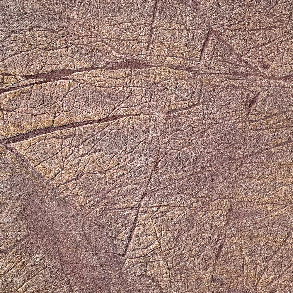 Telestro 1