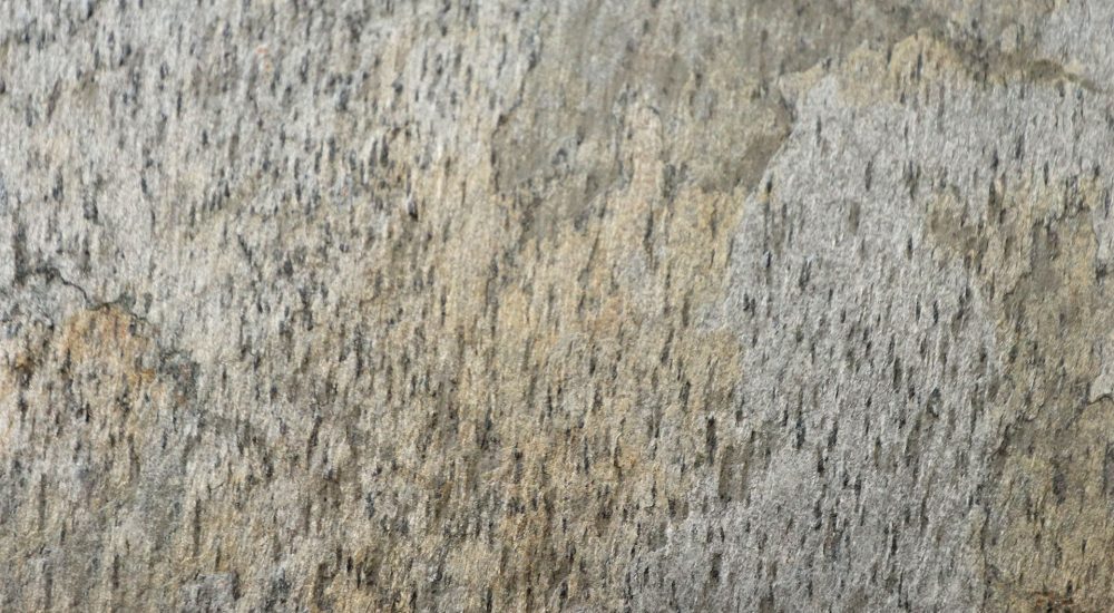 Natuursteen traprenovatie in de kleur Prospero